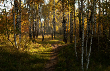 Similar image 21715562