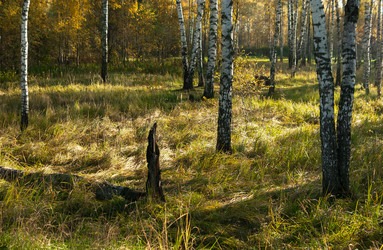 Similar image 21715563