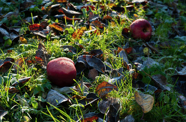 Similar image 21715565