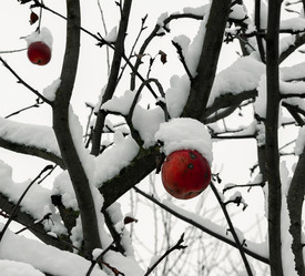 Similar image 21715566