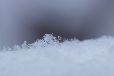 Similar image 21715130