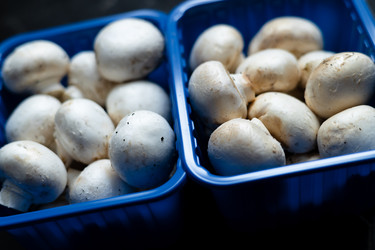 Similar image 21715132