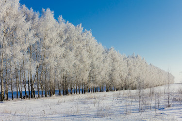 Similar image 21715134