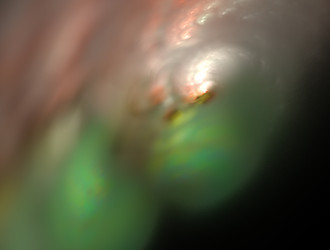 Similar image 21718963