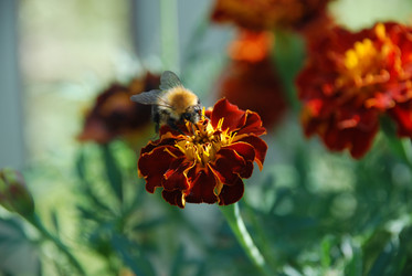 Similar image 21715138