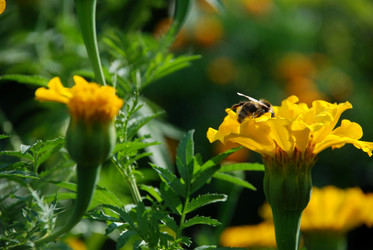 Similar image 21715139