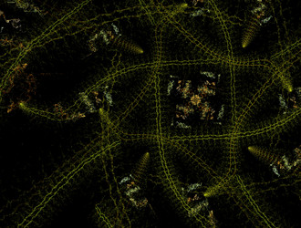 Similar image 21718645