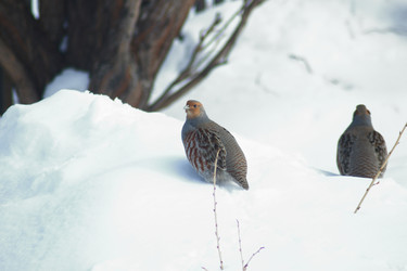 Similar image 21715365