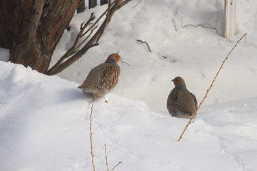 Similar image 21715367