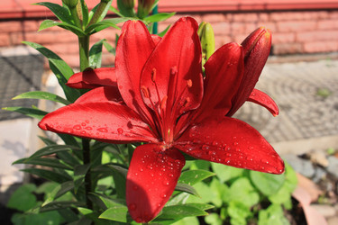 Similar image 21715379