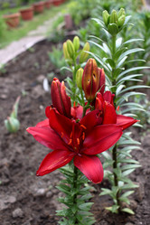 Similar image 21715380