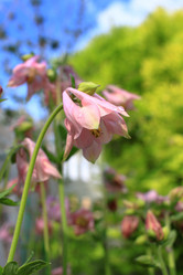 Similar image 21715382