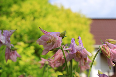 Similar image 21715383