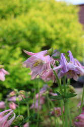 Similar image 21715386