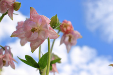 Similar image 21715387