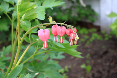 Similar image 21715388