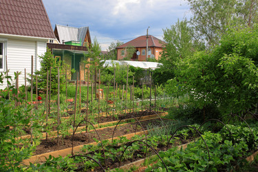 Similar image 21715390