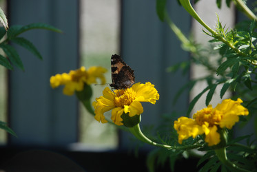 Similar image 21715156