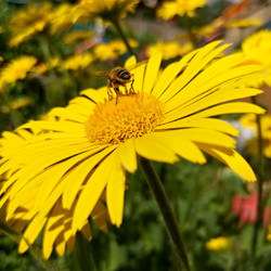 Similar image 21715157