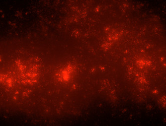 Similar image 21718965