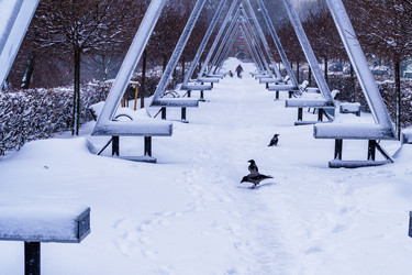 Similar image 21719213