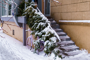 Similar image 21719215