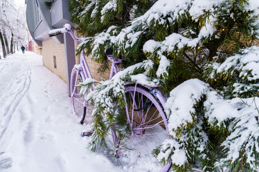 Similar image 21719216