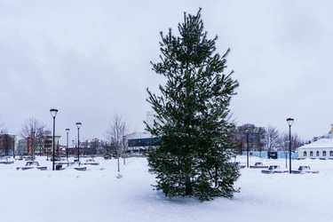 Similar image 21719217