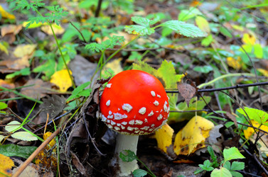 Similar image 21715187