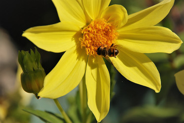 Similar image 21715189