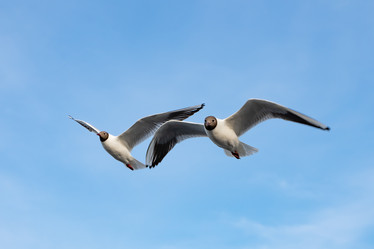 Similar image 21715190