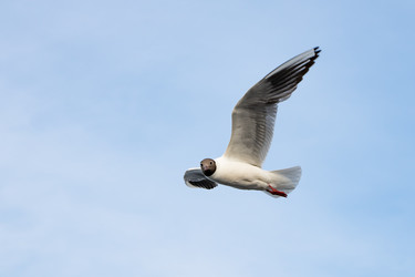 Similar image 21715194