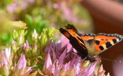 Similar image 21715196