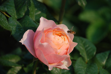 Similar image 21715197