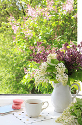 Similar image 21715211