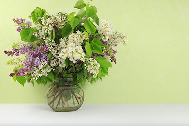 Similar image 21715215