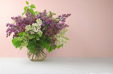 Similar image 21715216