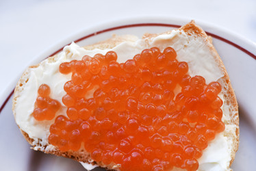 Similar image 21715938