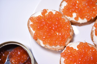 Similar image 21715942