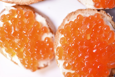 Similar image 21715951