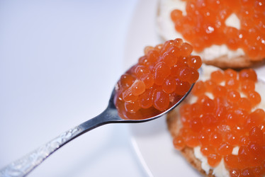 Similar image 21715956