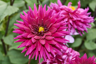 Similar image 21715394