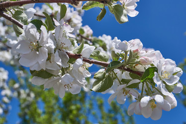 Similar image 21715395