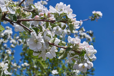 Similar image 21715396