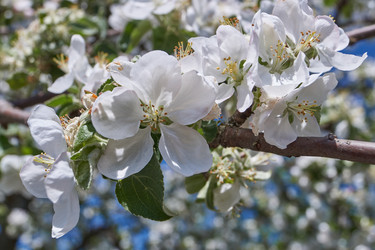 Similar image 21715397