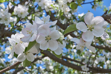 Similar image 21715398