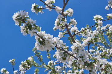 Similar image 21715399