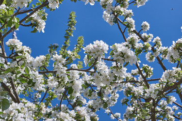 Similar image 21715400