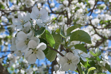 Similar image 21715401