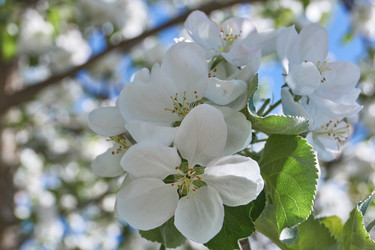 Similar image 21715402